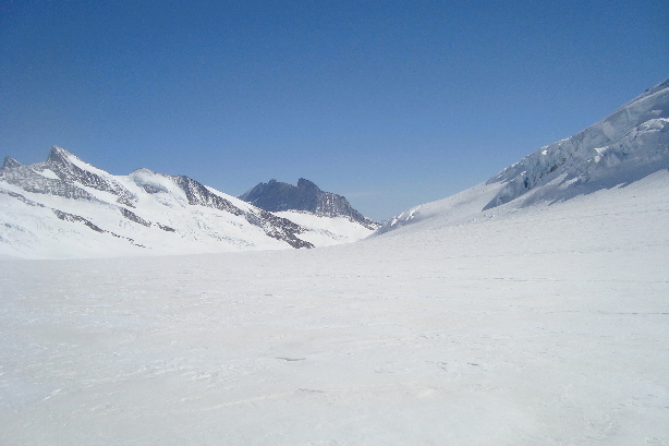Ewigschneefäld glacier