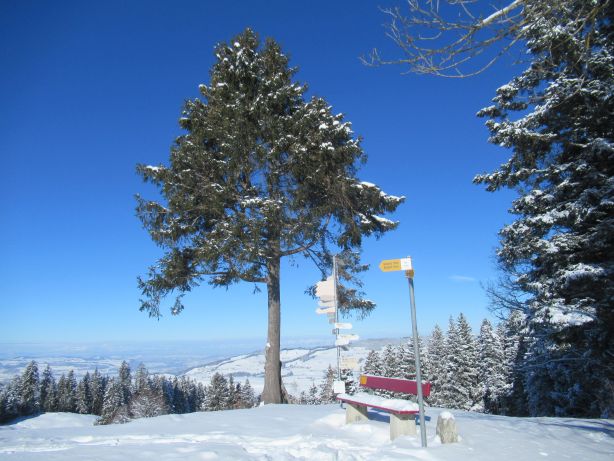 Gipfel Winterberg (1217m)