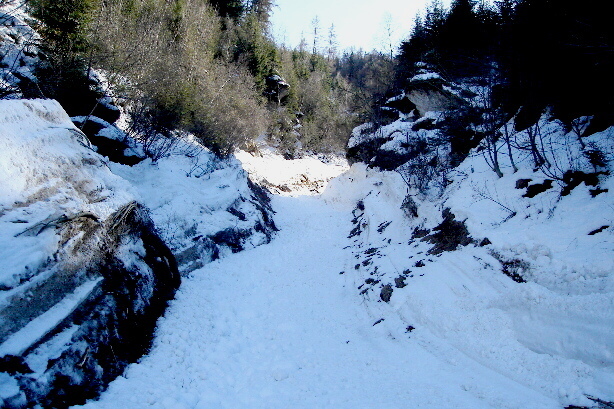 Avalanche from Löübbach