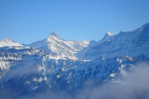 Bärglistock (3656m), Schreckhorn (4078m), Finsteraarhorn (4272m)