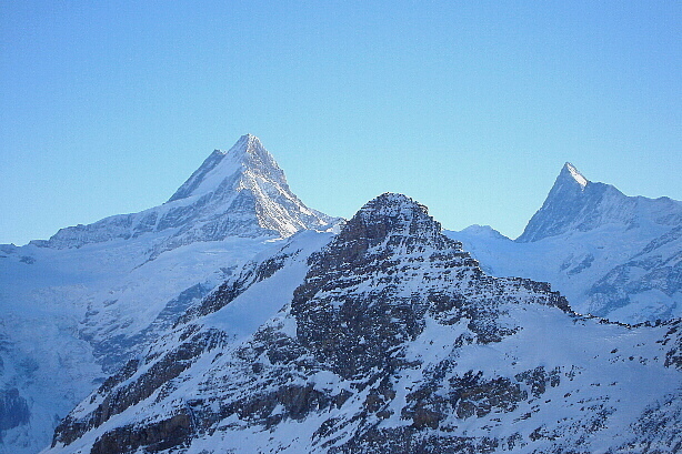 Schreckhorn (4078m), Simelihorn (2751m), Finsteraarhorn (4272m)