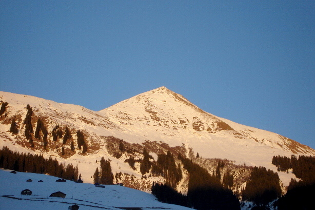 Lauenenhorn (2477m)
