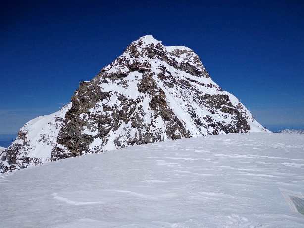 Summit of Louwihorn (3773m) and Rottalhorn (3969m)