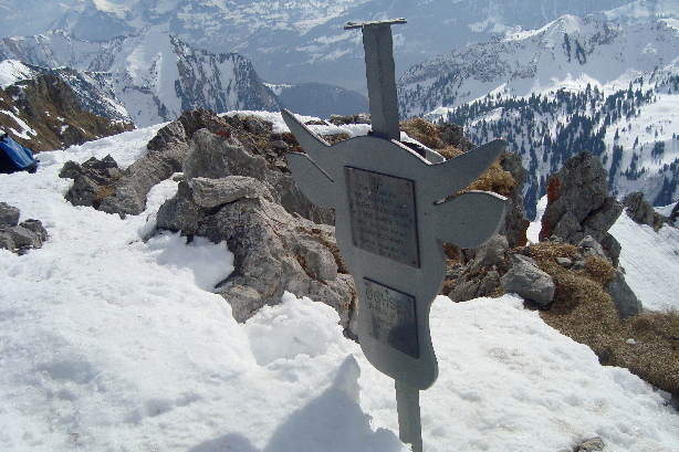 Gipfelochse Ochsen (2188m)