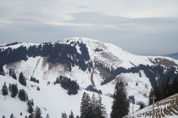 Stäckhüttenghürn (1706m)