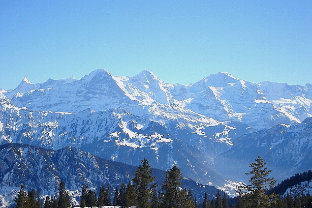 Finsteraarhorn, Fiescherwand, Eiger, Mönch, Jungfrau