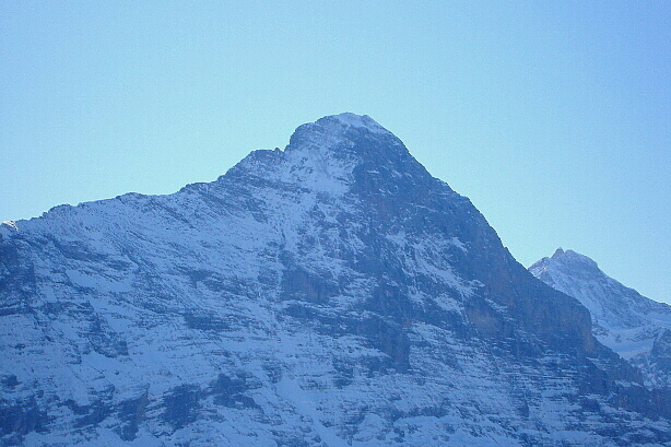 Eiger (3970m) from Waldspitz