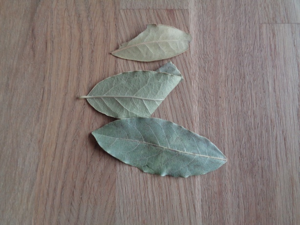 3 leaves of floorer