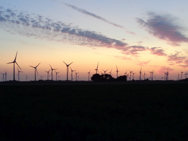 Windpark bei Struckum (Schleswig-Holstein)