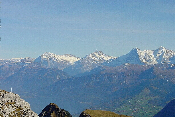 Wetterhorn (3692m), Schreckhorn (4078m), Eiger (3970m), Mönch (4107m)