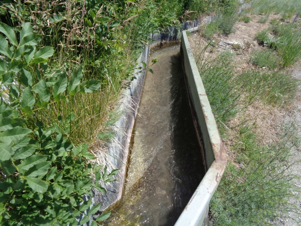 Laldneri Water-channel