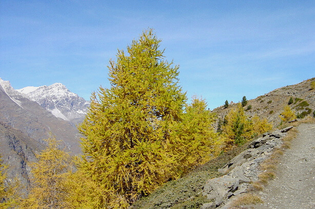 Brunegghorn (3833m) and Tufteren ridge path