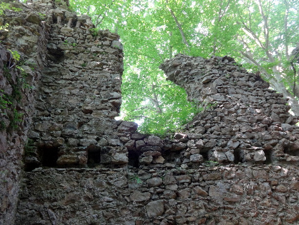 Ruine Jagdburg Höfen