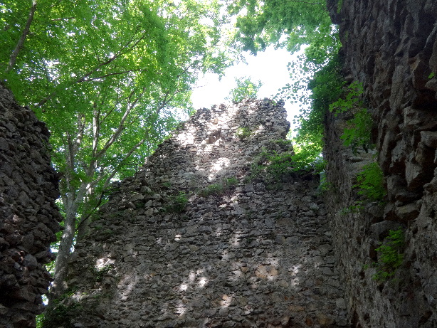 Ruine Jagdburg Höfen