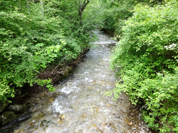 Fallbach creek