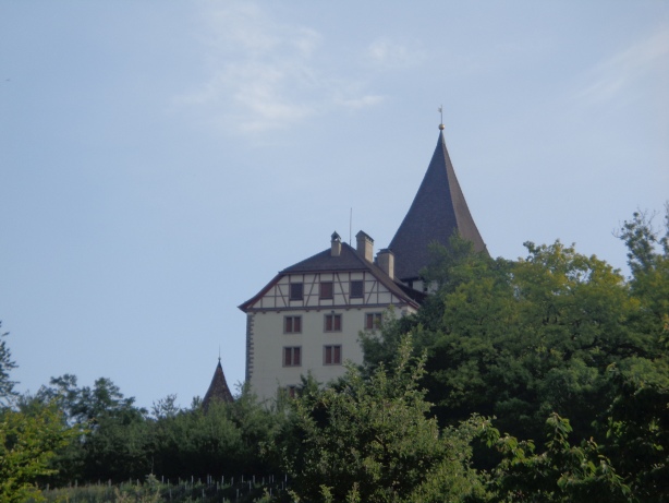 Castle of Weinfelden