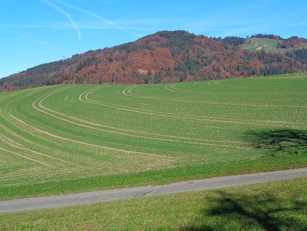 Churzenberg / Kurzenberg