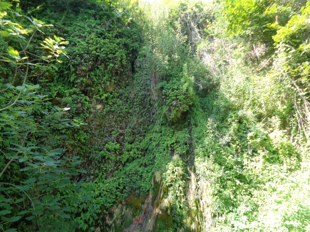 Sorgente del Cesare / Quelle von Cäsar