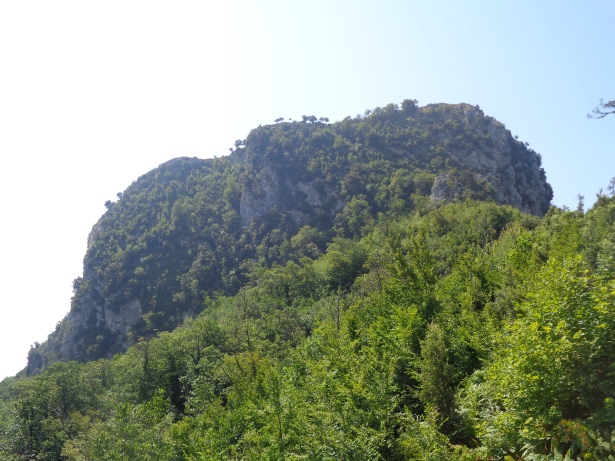 Monte Falerio