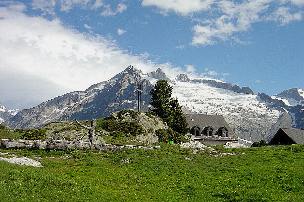 Gross Fusshorn / Fusshörner (3627m)