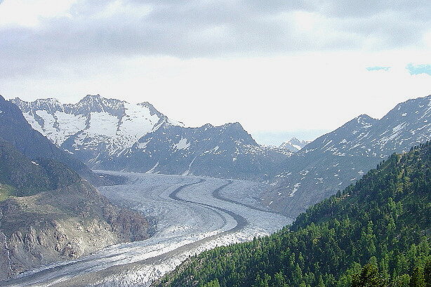 Grosser Aletschgletscher und Aletschwald