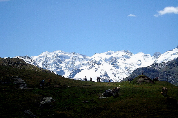 Piz Palü (3901m), Piz Zupò (3997m), Piz Argient (3945m), Crast' Agüzza (3854m)