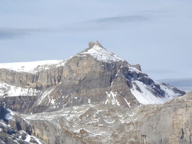 Tierhörnli (2894m)