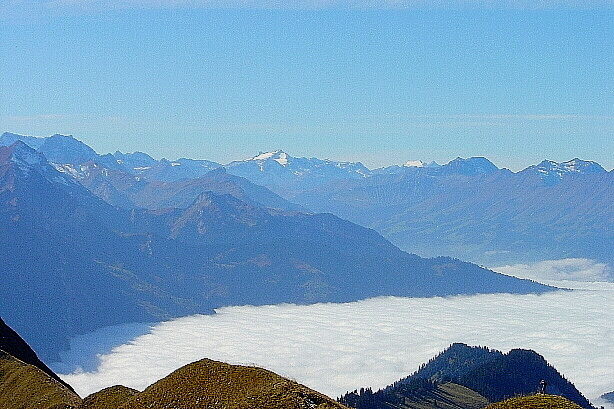 Wildhorn, Sommet des Diablerets, Albristhorn, Männlifluh