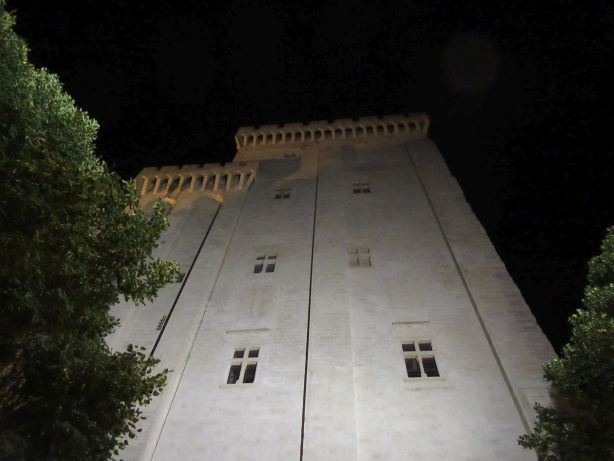 Papstpalast / Palais des Papes