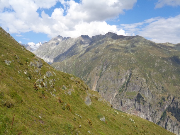 Wasenhorn (3447m), Setzehorn (3061m), Risihorn (2876m)