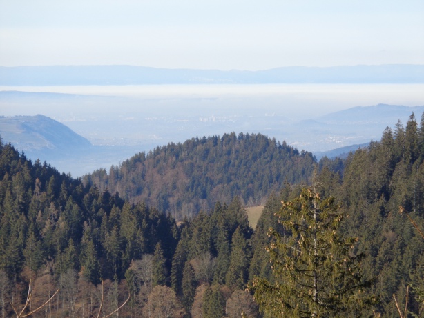 Blick Richtung Mittelland