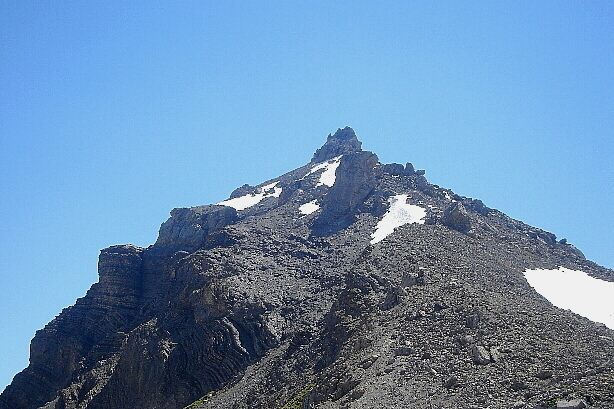 Tierhörnli (2894m)