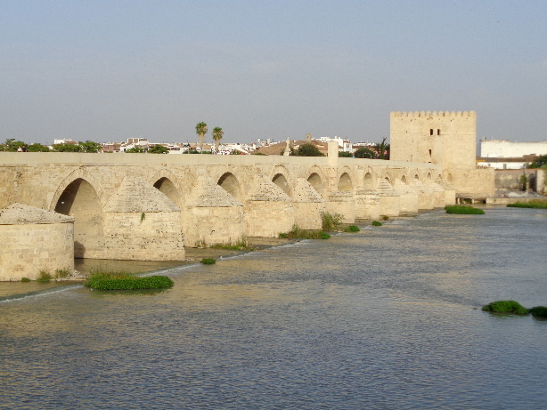 Roman bridge / Puente romano