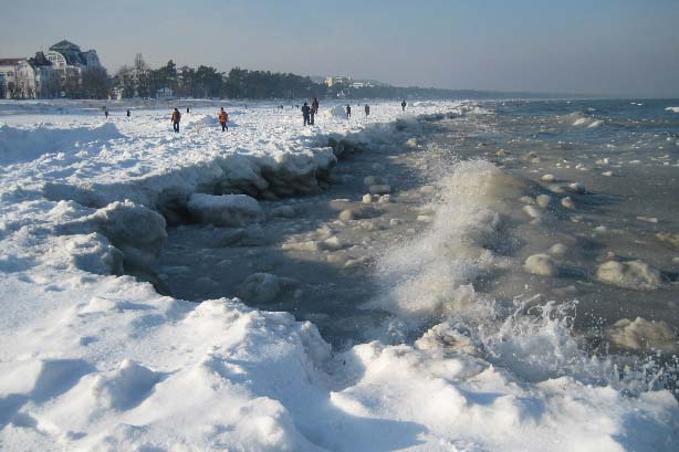 Darss im Winter