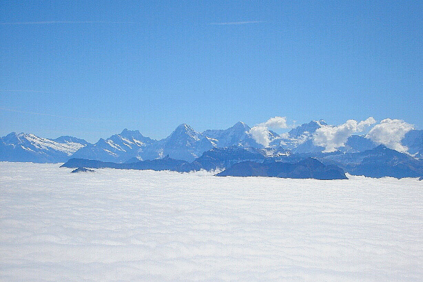 Wetterhorn, Bärglistock, Schreckhorn, Eiger, Mönch, Jungfrau