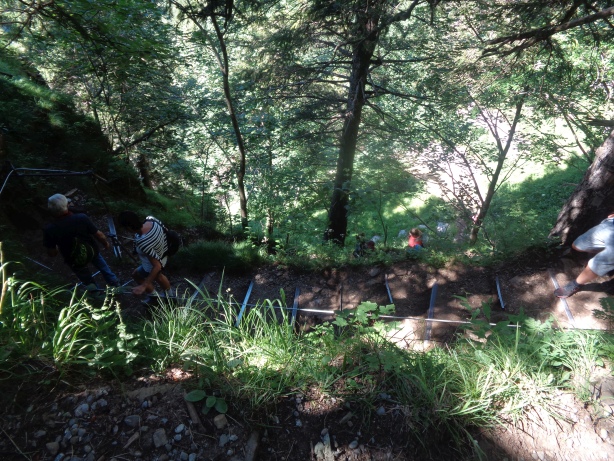 Absteig zum Seealpsee