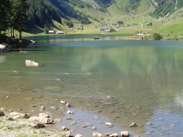 Seealpsee (1142m)