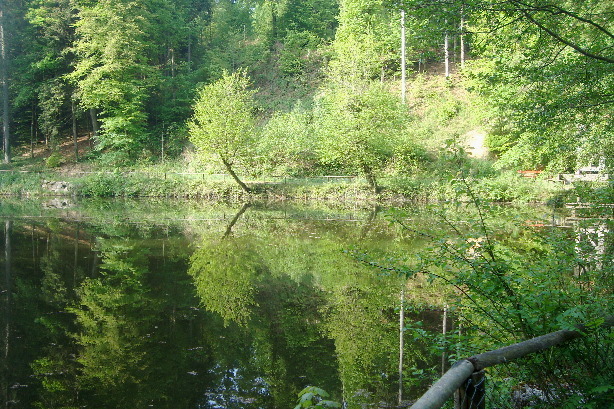 Feufweiher / Fünfweiher