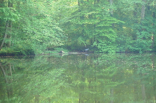 Feufweiher / Fünfweiher