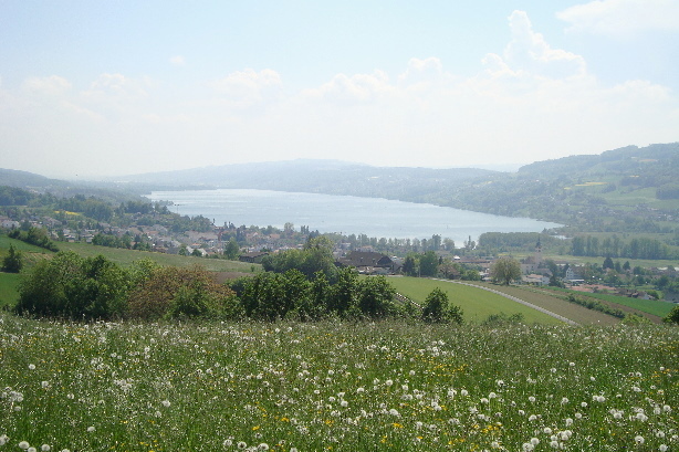 Hallwilersee