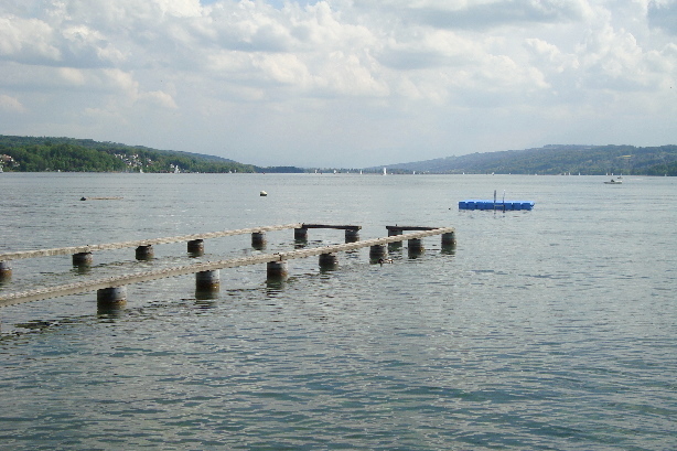 Hallwilersee