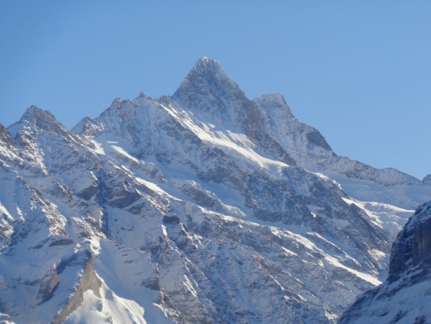 Schreckhorn (4078m)