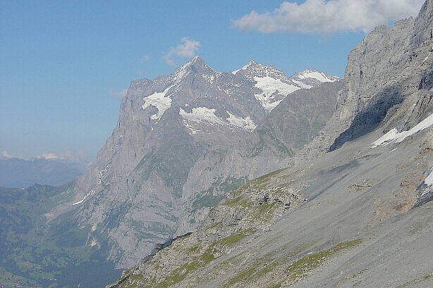 Wetterhorn (3692m)