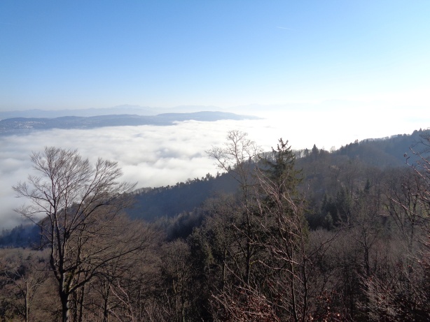 Zürichsee unter dem Nebelmeer