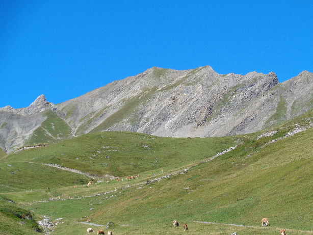 Bunderspitz (2546m)