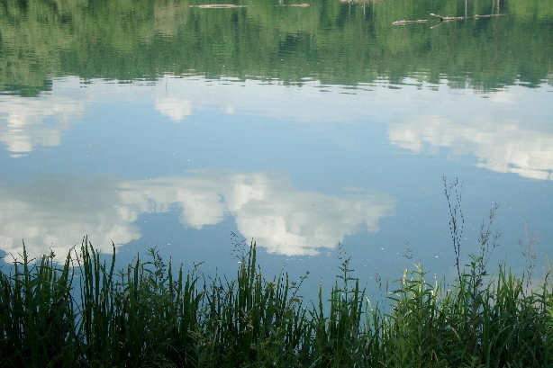 Flachsee