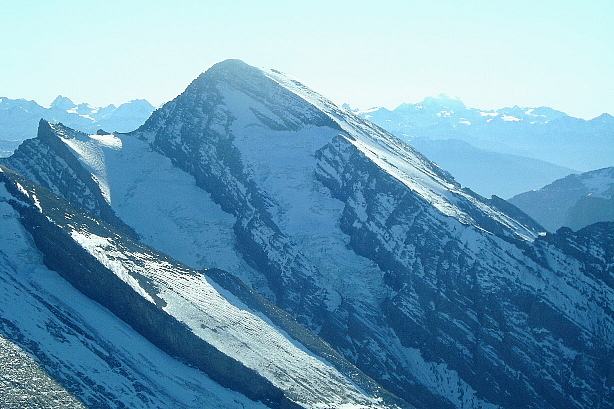 Rinderhorn (3448m)
