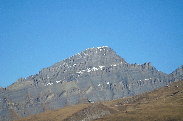Rinderhorn (3448m)