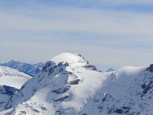 Wildstrubel / Adelbodnerstrubel (3243m)