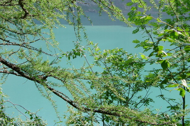Oeschinensee (1578m)